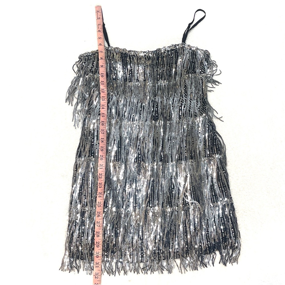 Day + Moon‎ Silver Sequin Layer Fringe Flapper Costume Party Dress Women's Small - Picture 14 of 15